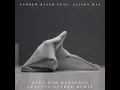 Open End Resource (Leaving Laurel Remix)