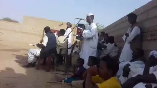 ود الكرده يبدع في الشعديناب 