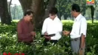 moi thakute nasabi de anoloi assamese old video song