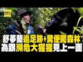 Download Lagu 【精選】聚焦團隊翻越森林「求見到大猩猩一面」！跟著足跡＋糞便「200KG溫柔的巨人」就在眼前　@EARTHFOCUS_EBC ｜舒夢蘭