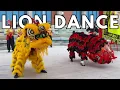 Download Lagu Lion Dance Performance in Chinatown San Francisco 2024