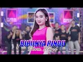 Download Lagu Diva Hani - Birunya Rindu | New Pallapa (Official Live Music Video)