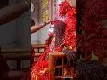 Download Lagu Joy Tara Maa|Tarapith Mandir|Tarapith #shorts #tarapithmandir #taramaa #maakali #video #tren