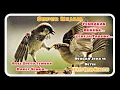 Download Lagu Masteran Mewah \