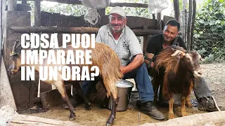COSA PUOI IMPARARE IN UN'ORA?