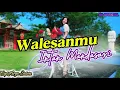 Lagu Walesanmu (DJ djandut ) - Intan Mandasari