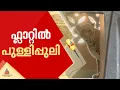 മുംബൈയിൽ ഫ്ലാറ്റിൽ പുള്ളിപ്പുലിയുടെ ആക്രമണം; ആറ് പേർക്ക് പരിക്ക്