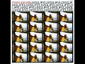 Black Starliner Must Come (2002 Digital Remastered) - Prince Far I