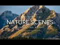 Download Lagu Waiting Room Video Loop | Nature Scenes, Professional Calm Ambience