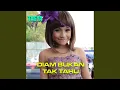 Download Lagu Diam Bukan Tak Tahu
