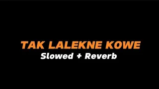 tak lalekne kowe slowed reverb full lirik 