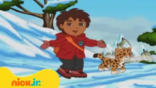 רוץ דייגו רוץ: ההרים של סין | ניק ג'וניור