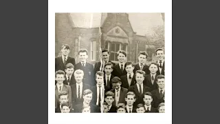 YELLOW OBLONG-SHAPED TABLET