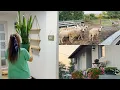 Download Lagu Make-over in de gang en verzorging van de schapen van mijn zwager 🐑🏠 | Een dag op het platteland