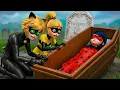 Lagu Rust in vrede, Ladybug… Cat Noirs kille onverschilligheid heeft haar voorgoed van ons weggenomen 💔🕯️