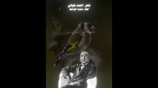 أحمد شوقي   عصفورتان في الحجاز  القاء اسامة الواعظ دندنها