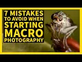 Download Lagu 7 Macro mistakes when starting in insect Macro photography and how to avoid them