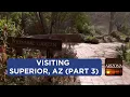 Visiting Superior s farmer s market Boyce Thompson Arboretum