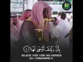 Download Lagu Surah Az-Zalzalah(سورة الزلزلة) | Beautiful Quran Recitation | Sheikh Saud As Shuraim #shorts #quran