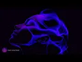 Vagus Nerve Reset Sleep Music 🌙 528Hz + 136.1Hz Earth Frequency + 6Hz Theta • 11 Hours BLACK SCREEN