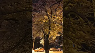 اجواء الثلج في تركيا حالات واتس صور ثلج ثلج حالات موسيقى Shorts 