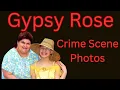Gypsy Rose crime scene photos