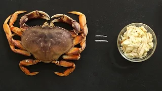 Download How to Break Down Fresh Crab Like a Pro - Kitchen Conundrums with Thomas Joseph MP3