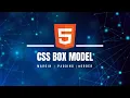 CSS Box Model Padding Margin Border