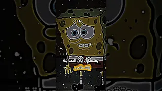 حكمة سبونج بوب لايك اشتراك بالقناه ليصلك كل جديد سبونج بوب حكمة اليوم تفاعل 