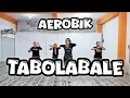 Download Lagu SENAM AEROBIK MUSIK TERBARU LAGU TABOLA BALE VIRAL TIK TOK