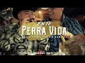 En Tu Perra Vida - Grupo Firme & Lenin Ramirez