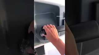 Sunrise sail with my dogs and boyfriend in the Bahamas @CaptainColeHarrison