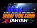 Download Lagu Dj What You Come x Teki Gan Thailand Pargoy Santuy Viral TikTok Bass Engkol
