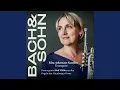 Download Lagu Was Mir Behagt, Ist Nur Die Muntre Jagd in G-Dur, BWV 208: IX. Schafe Können Sicher Weiden...