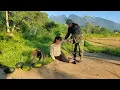 Download Lagu Police Officer Helps Single Mother In Accident On The Road, Story Touches Millions Of Hearts