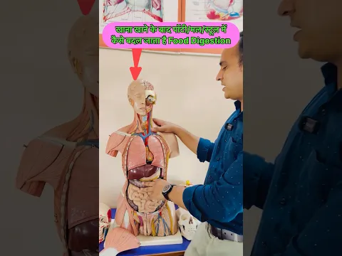 खाना खाने के बाद मल/पॉटी/स्टूल में कैसे बदल जाता है । How Food Convert into Potty #digestivesystem