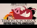 Download Lagu Timon \u0026 Pumbaa Intro - Multilanguage in 42 languages (NTSC - pitched)