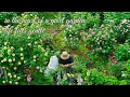 in the heart of a quiet garden, life feels gentle. — (a relaxing playlist for calm moments)