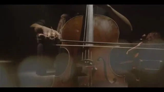 الاغنية التي ظهرت في زواج مصلحة 