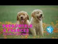 Download Lagu PREGÚNTELE A FRANCES qué revela su visión remota...