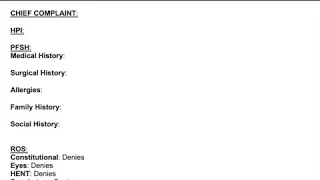 Ideal Medical Scribe Chart - Example Medical Documentation