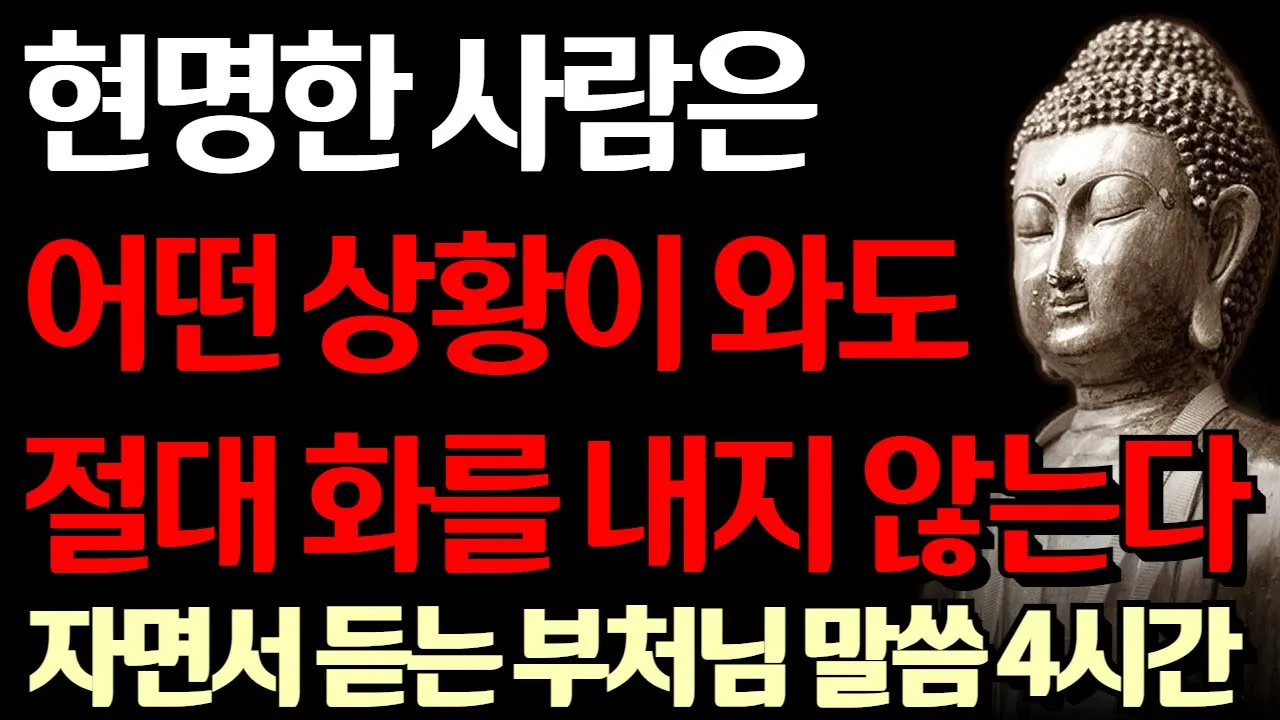 Outline Video 현명한 사람들은 절대 화를 내지 않는다 I 지혜로운 자들이 분노를 다스리는 방법 I 자면서 듣는 부처님 말씀 4시간 l 지혜 I 오디오북 I 철학 I 독경 I 조언
