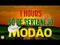 MODÃO RAIZ SERTANEJA - SÓ AS MELHORES DO SERTANEJO ANTIGO | MODÃO DAS ANTIGAS  SERTANEJO