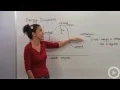 Energy Diagrams