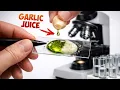 Why does garlic make microbes explode The result shocked me