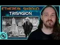 Download Lagu These Lyrics Are Incredibly Powerful // Composer React to Ethereal Shroud - Trisagion