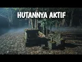 Lagu AWALNYA SEPI.. TAPI HUTAN INI TERBANGUN SAAT AKU DATANG