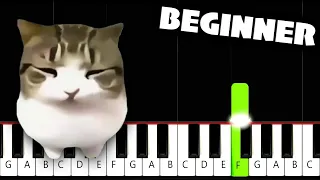 Dam Dam Diri Diri - BEGINNER Piano Tutorial