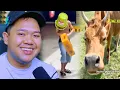 Download Lagu MEME FOR LAUGH   EPS  383 ||  LIATT NIHH LIATTT !!!
