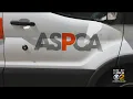 Is The ASPCA Connected To Pennsylvania SPCA